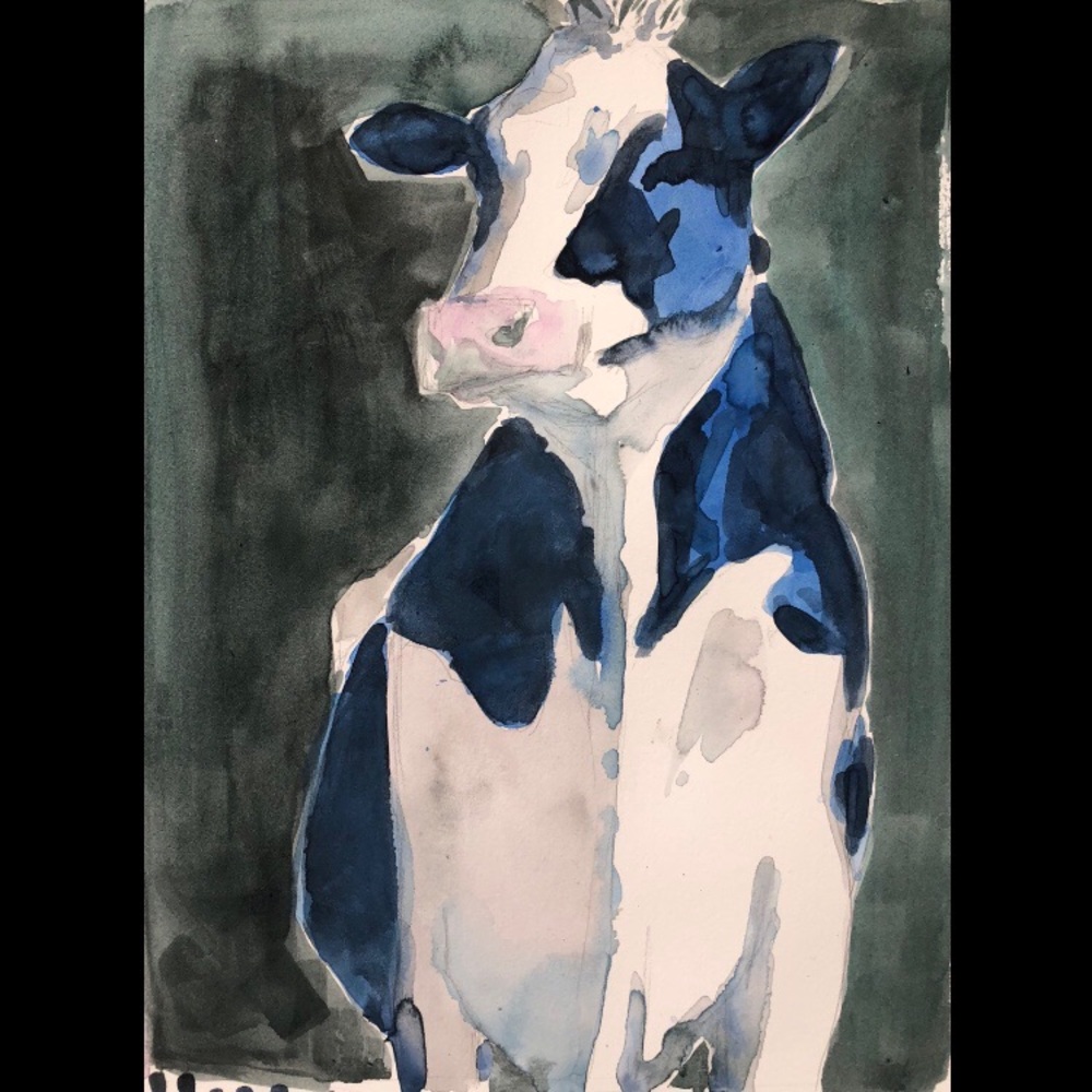 Cow Study, 2016